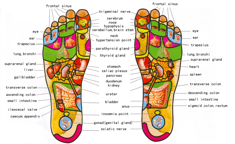 Ingrown Toenail - Foot Health Facts